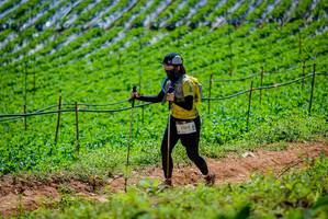 BIB: 2265
                            <button type="button" onclick="openModal(19164782)" class="btn btn-primary btn-sm float-right btn-popup" data-toggle="modal" data-target=".modal-high-quality">
                        <i class="fas fa-shopping-cart"></i> Add to Cart
                    </button>
                                            <button type="button" onclick="isThisMe(19164782, true)" class="btn btn-success btn-sm float-right btn-popup btn-isme hidden" data-toggle="tooltip" data-placement="bottom" title="นี่คือรูปของคุณใช่ไหม คลิกที่นี่เพื่อเอาเข้าอัลบั้ม">
                        <i class="fas fa-plus"></i> Add to album
                    </button>
                    <button type="button" onclick="isThisMe(19164782, false)" class="btn btn-warning btn-sm float-right btn-popup btn-isnotme hidden">
                        <i class="fas fa-ban"></i> Remove from album
                    </button>